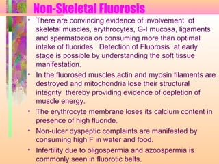 Non-Skeletal Fluorosis
• There are convincing evidence of involvement of
skeletal muscles, erythrocytes, G-I mucosa, ligaments
and spermatozoa on consuming more than optimal
intake of fluorides. Detection of Fluorosis at early
stage is possible by understanding the soft tissue
manifestation.
• In the fluorosed muscles,actin and myosin filaments are
destroyed and mitochondria lose their structural
integrity thereby providing evidence of depletion of
muscle energy.
• The erythrocyte membrane loses its calcium content in
presence of high fluoride.
• Non-ulcer dyspeptic complaints are manifested by
consuming high F in water and food.
• Infertility due to oligospermia and azoospermia is
commonly seen in fluorotic belts.
 
