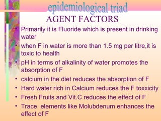 • Primarily it is Fluoride which is present in drinking
water
• when F in water is more than 1.5 mg per litre,it is
toxic to health
• pH in terms of alkalinity of water promotes the
absorption of F
• calcium in the diet reduces the absorption of F
• Hard water rich in Calcium reduces the F toxxicity
• Fresh Fruits and Vit.C reduces the effect of F
• Trace elements like Molubdenum enhances the
effect of F
AGENT FACTORS
 
