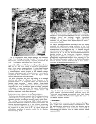 4PsilonichnusIchnofaciesSEPMSpecial52 2008 | PDF