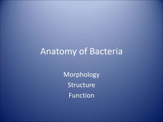 Anatomy of Bacteria
Morphology
Structure
Function
 