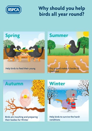 RSPCA - How to feed and care for garden birds