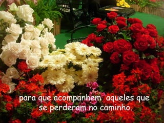 para que acompanhem aqueles que
se perderam no caminho.
 