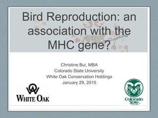 Bird Reproduction: an
association with the
MHC gene?
Christine Bui, MBA
Colorado State University
White Oak Conservation Holdings
January 29, 2015
 