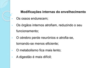 Modificações internas do envelhecimento
• Os ossos endurecem;
• Os órgãos internos atrofiam, reduzindo o seu
funcionamento;
• O cérebro perde neurónios e atrofia-se,
tornando-se menos eficiente;
• O metabolismo fica mais lento;
• A digestão é mais difícil;
 