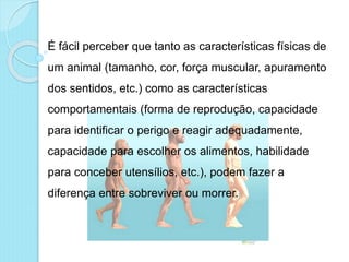 É fácil perceber que tanto as características físicas de
um animal (tamanho, cor, força muscular, apuramento
dos sentidos, etc.) como as características
comportamentais (forma de reprodução, capacidade
para identificar o perigo e reagir adequadamente,
capacidade para escolher os alimentos, habilidade
para conceber utensílios, etc.), podem fazer a
diferença entre sobreviver ou morrer.
 