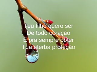Teu filho quero ser
De todo coração
E pra sempre obter
Tua eterba proteção
 