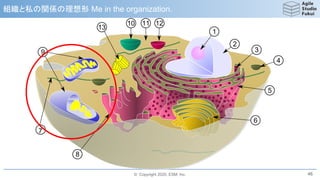 © Copyright 2020, ESM, Inc.
組織と私の関係の理想形 Me in the organization.
46
 