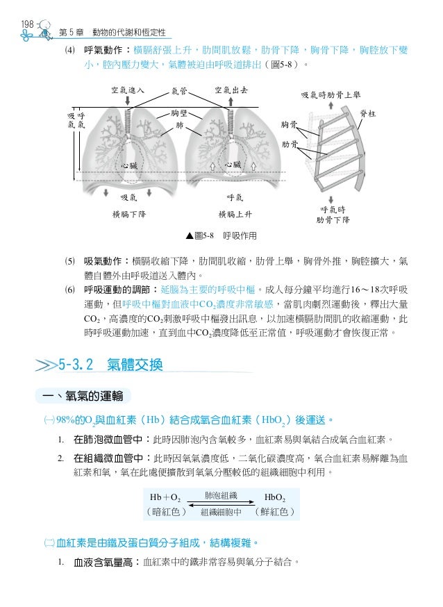 龍騰 瞄準統測 基礎生物總複習 龍騰 瞄準統測 基礎生物總複習