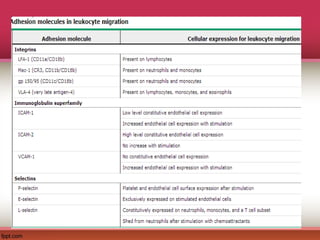 Comprehensive Overview of Inflammation and Pain Pathophysiology | PPT