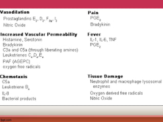 Comprehensive Overview of Inflammation and Pain Pathophysiology | PPT