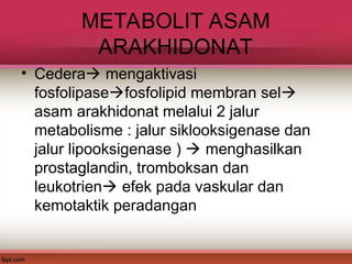 Comprehensive Overview of Inflammation and Pain Pathophysiology | PPT