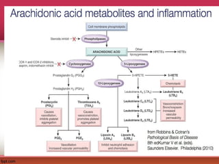 Comprehensive Overview of Inflammation and Pain Pathophysiology | PPT