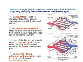 Comprehensive Overview of Inflammation and Pain Pathophysiology | PPT