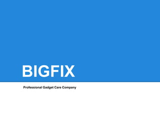 BIGFIX
Professional Gadget Care Company
 
