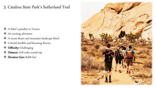 3. Catalina State Park’s Sutherland Trail
❖ A hiker’s paradise in Tucson
❖ An exciting adventure
❖ A scenic desert and mountain landscape blend
❖ Colorful birdlife and blooming flowers
❖ Difficulty: Challenging
❖ Distance: 10.8 miles round trip
❖ Elevation Gain: 8,600 feet
 
