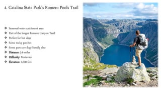 4. Catalina State Park’s Romero Pools Trail
❖ Seasonal water catchment area
❖ Part of the longer Romero Canyon Trail
❖ Perfect for hot days
❖ Some rocky patches
❖ Some parts are dog-friendly also
❖ Distance: 5.6 miles
❖ Difficulty: Moderate
❖ Elevation: 1,000 feet
 