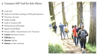 5. Tumamoc Hill Trail for Solo Hikers
❖ A safe trail
❖ Perfect for solo hikers seeking an off the grid experience
❖ Panoramic city views
❖ Stroller-friendly
❖ Leads to Tumamoc Hill
❖ Well paved and well-marked
❖ Saguaros-lined hillside
❖ Diverse wildlife - Horned lizard or the "Tumamoc"
❖ Location: Downtown Tucson
❖ Difficulty: Easy
❖ Elevation: 700 feet
❖ Distance: 3 miles round trip
 