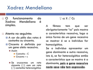 Xadrez Mendeliano
 O funcionamento do
Xadrez Mendeliano é
simples.
 Atenta no seguinte:
 A cor do pêlo dos ratos é
castanho ou cinzento.
 Cinzento é definido por
um gene alelo recessivo.
 Assim
 Castanho - C
 Cinzento – c
 Se cruzarmos um rato
cinzento (♀) com um rato
(♂) castanho heterozigótico
♀ cc X ♂ Cc
A fêmea tem que ser
obrigatoriamente “cc” pois mostra
a característica recessiva, logo a
única forma de um gene recessivo
se mostrar é se o indivíduo for
homozigótico.
Se o indivíduo apresentar um
gene dominante e outro recessivo,
isto é, se for heterozigótico então
a característica que se mostra é a
dominante, pois o gene recessivo
neste caso não tem expressão.
 