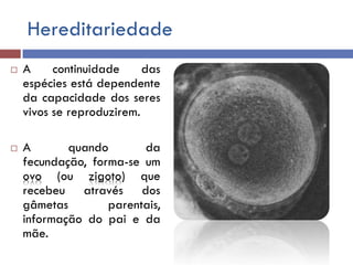 Hereditariedade
 A continuidade das
espécies está dependente
da capacidade dos seres
vivos se reproduzirem.
 A quando da
fecundação, forma-se um
ovo (ou zigoto) que
recebeu através dos
gâmetas parentais,
informação do pai e da
mãe.
 