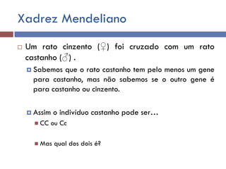Xadrez Mendeliano
 Um rato cinzento (♀) foi cruzado com um rato
castanho (♂) .
 Sabemos que o rato castanho tem pelo menos um gene
para castanho, mas não sabemos se o outro gene é
para castanho ou cinzento.
 Assim o indivíduo castanho pode ser…
 CC ou Cc
 Mas qual dos dois é?
 
