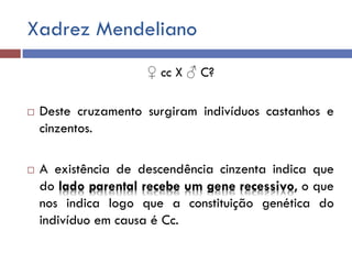 Xadrez Mendeliano
♀ cc X ♂ C?
 Deste cruzamento surgiram indivíduos castanhos e
cinzentos.
 A existência de descendência cinzenta indica que
do lado parental recebe um gene recessivo, o que
nos indica logo que a constituição genética do
indivíduo em causa é Cc.
 