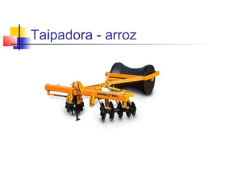 Taipadora - arroz
 