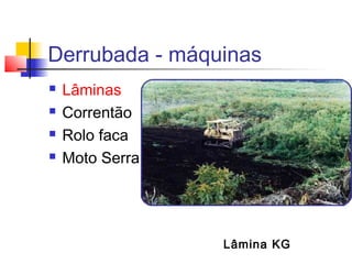 Derrubada - máquinas
 Lâminas
 Correntão
 Rolo faca
 Moto Serra
Lâmina KG
 