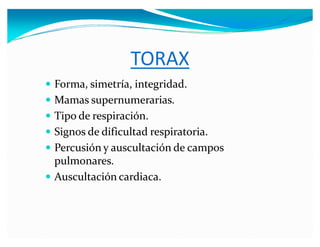 TORAX
y For a, si etría, i te ri a .
y a as s er erarias.
y i o e res iraci .
y i os e ific lta res iratoria.
y erc si y a sc ltaci e ca os
l onares.
y sc ltaci n car iaca.
 