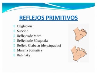 REFLEJOS PRIMITIVOS
Deglución
Succion
Reflejos de Moro
Reflejos de Búsqueda
Reflejo Glabelar (de párpados)
Marcha Somática
Babinsky
 