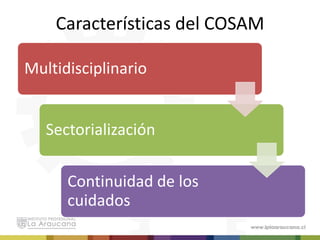 COSAM-COSAM CHILE-COSAM.pdf.............., | PDF