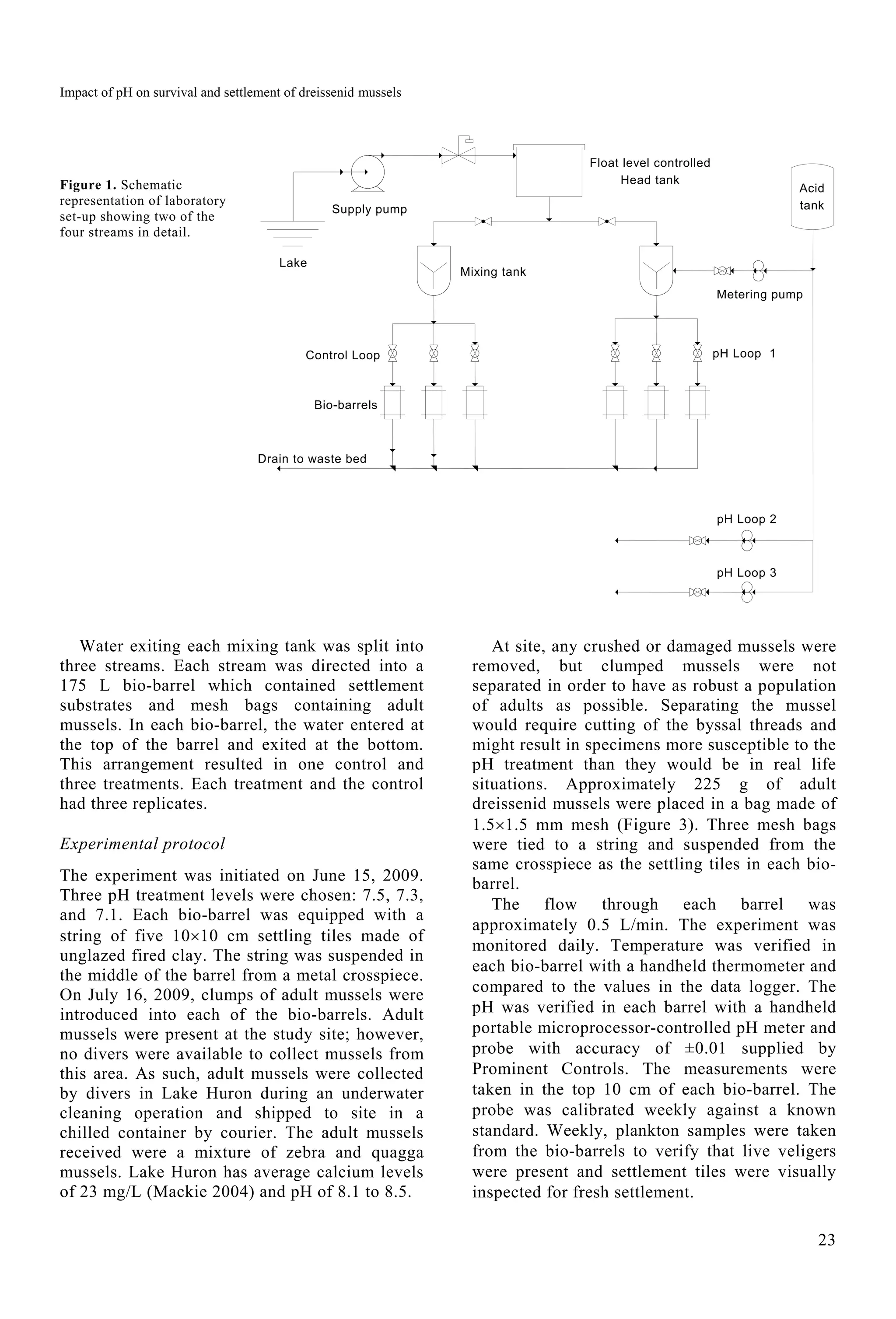 Impact of pH on survival and settlement of dreissenid mussels
23
Figure 1. Schematic
representation of laboratory
set-up showing two of the
four streams in detail.
Water exiting each mixing tank was split into
three streams. Each stream was directed into a
175 L bio-barrel which contained settlement
substrates and mesh bags containing adult
mussels. In each bio-barrel, the water entered at
the top of the barrel and exited at the bottom.
This arrangement resulted in one control and
three treatments. Each treatment and the control
had three replicates.
Experimental protocol
The experiment was initiated on June 15, 2009.
Three pH treatment levels were chosen: 7.5, 7.3,
and 7.1. Each bio-barrel was equipped with a
string of five 1010 cm settling tiles made of
unglazed fired clay. The string was suspended in
the middle of the barrel from a metal crosspiece.
On July 16, 2009, clumps of adult mussels were
introduced into each of the bio-barrels. Adult
mussels were present at the study site; however,
no divers were available to collect mussels from
this area. As such, adult mussels were collected
by divers in Lake Huron during an underwater
cleaning operation and shipped to site in a
chilled container by courier. The adult mussels
received were a mixture of zebra and quagga
mussels. Lake Huron has average calcium levels
of 23 mg/L (Mackie 2004) and pH of 8.1 to 8.5.
At site, any crushed or damaged mussels were
removed, but clumped mussels were not
separated in order to have as robust a population
of adults as possible. Separating the mussel
would require cutting of the byssal threads and
might result in specimens more susceptible to the
pH treatment than they would be in real life
situations. Approximately 225 g of adult
dreissenid mussels were placed in a bag made of
1.51.5 mm mesh (Figure 3). Three mesh bags
were tied to a string and suspended from the
same crosspiece as the settling tiles in each bio-
barrel.
The flow through each barrel was
approximately 0.5 L/min. The experiment was
monitored daily. Temperature was verified in
each bio-barrel with a handheld thermometer and
compared to the values in the data logger. The
pH was verified in each barrel with a handheld
portable microprocessor-controlled pH meter and
probe with accuracy of ±0.01 supplied by
Prominent Controls. The measurements were
taken in the top 10 cm of each bio-barrel. The
probe was calibrated weekly against a known
standard. Weekly, plankton samples were taken
from the bio-barrels to verify that live veligers
were present and settlement tiles were visually
inspected for fresh settlement.
Lake
Drain to waste bed
Bio-barrels
Mixing tank
Float level controlled
Head tank
Metering pump
Acid
tank
pH Loop 1
pH Loop 2
pH Loop 3
Supply pump
Control Loop
 