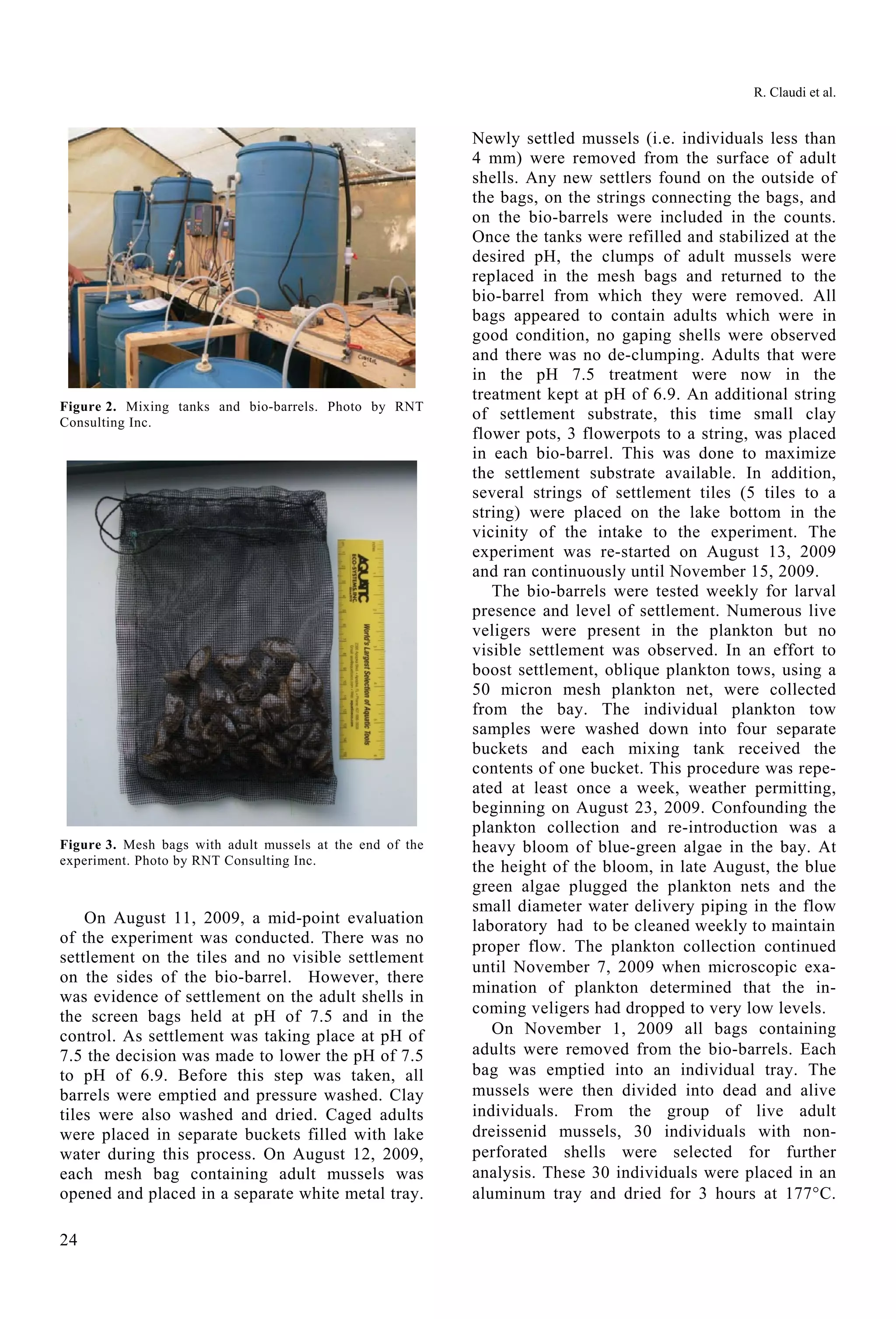 R. Claudi et al.
24
Figure 2. Mixing tanks and bio-barrels. Photo by RNT
Consulting Inc.
Figure 3. Mesh bags with adult mussels at the end of the
experiment. Photo by RNT Consulting Inc.
On August 11, 2009, a mid-point evaluation
of the experiment was conducted. There was no
settlement on the tiles and no visible settlement
on the sides of the bio-barrel. However, there
was evidence of settlement on the adult shells in
the screen bags held at pH of 7.5 and in the
control. As settlement was taking place at pH of
7.5 the decision was made to lower the pH of 7.5
to pH of 6.9. Before this step was taken, all
barrels were emptied and pressure washed. Clay
tiles were also washed and dried. Caged adults
were placed in separate buckets filled with lake
water during this process. On August 12, 2009,
each mesh bag containing adult mussels was
opened and placed in a separate white metal tray.
Newly settled mussels (i.e. individuals less than
4 mm) were removed from the surface of adult
shells. Any new settlers found on the outside of
the bags, on the strings connecting the bags, and
on the bio-barrels were included in the counts.
Once the tanks were refilled and stabilized at the
desired pH, the clumps of adult mussels were
replaced in the mesh bags and returned to the
bio-barrel from which they were removed. All
bags appeared to contain adults which were in
good condition, no gaping shells were observed
and there was no de-clumping. Adults that were
in the pH 7.5 treatment were now in the
treatment kept at pH of 6.9. An additional string
of settlement substrate, this time small clay
flower pots, 3 flowerpots to a string, was placed
in each bio-barrel. This was done to maximize
the settlement substrate available. In addition,
several strings of settlement tiles (5 tiles to a
string) were placed on the lake bottom in the
vicinity of the intake to the experiment. The
experiment was re-started on August 13, 2009
and ran continuously until November 15, 2009.
The bio-barrels were tested weekly for larval
presence and level of settlement. Numerous live
veligers were present in the plankton but no
visible settlement was observed. In an effort to
boost settlement, oblique plankton tows, using a
50 micron mesh plankton net, were collected
from the bay. The individual plankton tow
samples were washed down into four separate
buckets and each mixing tank received the
contents of one bucket. This procedure was repe-
ated at least once a week, weather permitting,
beginning on August 23, 2009. Confounding the
plankton collection and re-introduction was a
heavy bloom of blue-green algae in the bay. At
the height of the bloom, in late August, the blue
green algae plugged the plankton nets and the
small diameter water delivery piping in the flow
laboratory had to be cleaned weekly to maintain
proper flow. The plankton collection continued
until November 7, 2009 when microscopic exa-
mination of plankton determined that the in-
coming veligers had dropped to very low levels.
On November 1, 2009 all bags containing
adults were removed from the bio-barrels. Each
bag was emptied into an individual tray. The
mussels were then divided into dead and alive
individuals. From the group of live adult
dreissenid mussels, 30 individuals with non-
perforated shells were selected for further
analysis. These 30 individuals were placed in an
aluminum tray and dried for 3 hours at 177C.
 