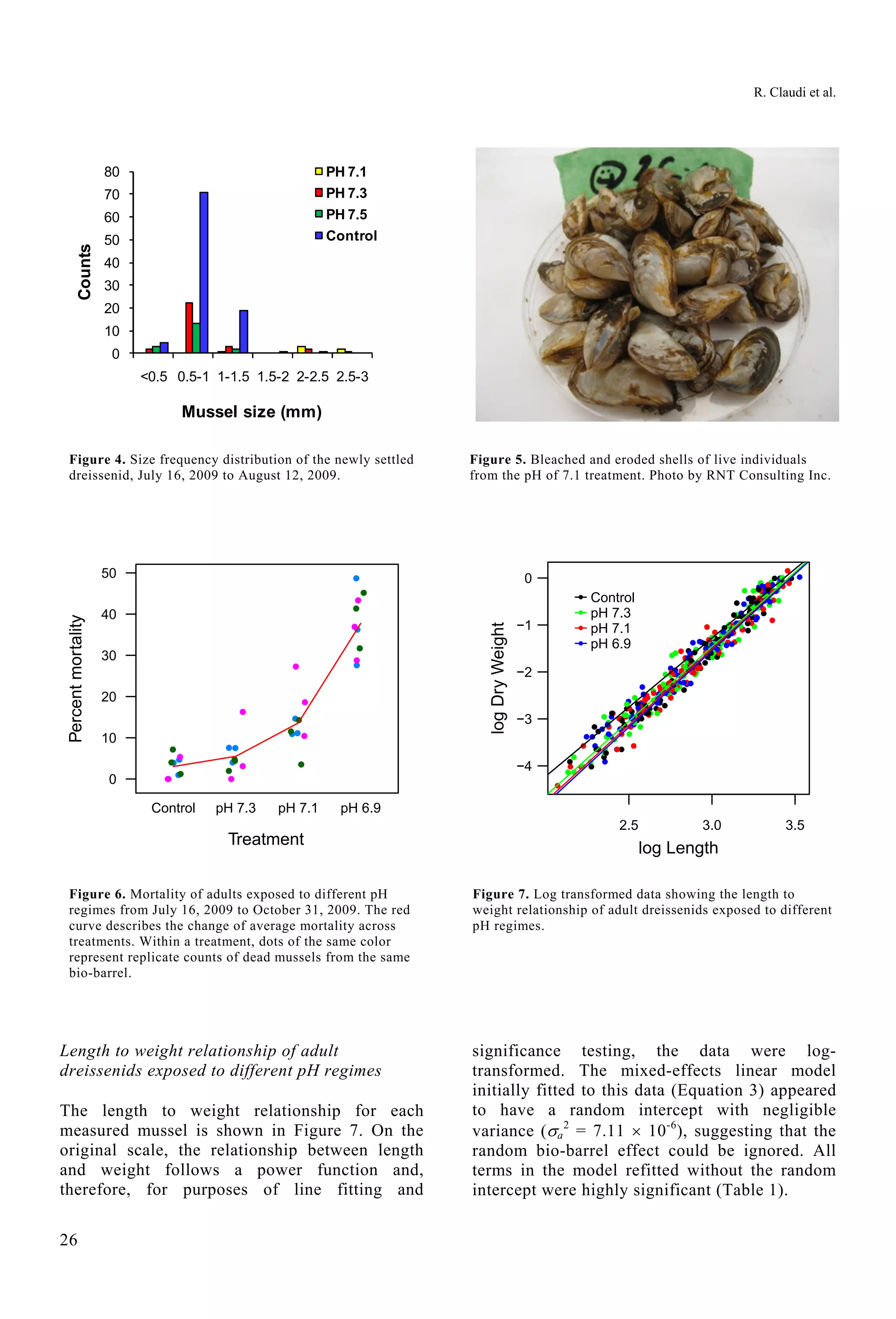 R. Claudi et al.
26
0
10
20
30
40
50
60
70
80
<0.5 0.5-1 1-1.5 1.5-2 2-2.5 2.5-3
Counts
Mussel size (mm)
PH 7.1
PH 7.3
PH 7.5
Control
Figure 4. Size frequency distribution of the newly settled
dreissenid, July 16, 2009 to August 12, 2009.
Figure 5. Bleached and eroded shells of live individuals
from the pH of 7.1 treatment. Photo by RNT Consulting Inc.
Treatment
Percentmortality
0
10
20
30
40
50
Control pH 7.3 pH 7.1 pH 6.9
2.5 3.0 3.5
−4
−3
−2
−1
0
log Length
logDryWeight
Control
pH 7.3
pH 7.1
pH 6.9
Figure 6. Mortality of adults exposed to different pH
regimes from July 16, 2009 to October 31, 2009. The red
curve describes the change of average mortality across
treatments. Within a treatment, dots of the same color
represent replicate counts of dead mussels from the same
bio-barrel.
Figure 7. Log transformed data showing the length to
weight relationship of adult dreissenids exposed to different
pH regimes.
Length to weight relationship of adult
dreissenids exposed to different pH regimes
The length to weight relationship for each
measured mussel is shown in Figure 7. On the
original scale, the relationship between length
and weight follows a power function and,
therefore, for purposes of line fitting and
significance testing, the data were log-
transformed. The mixed-effects linear model
initially fitted to this data (Equation 3) appeared
to have a random intercept with negligible
variance (a
2
= 7.11  10-6
), suggesting that the
random bio-barrel effect could be ignored. All
terms in the model refitted without the random
intercept were highly significant (Table 1).
 
