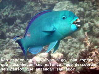 Não espere que devolvam algo, não espere que reconheçam seu esforço, que descubram seu gênio, que entendam seu amor. 