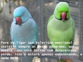 Pare de ligar sua televisão emocional e assistir sempre ao mesmo programa, que mostra como você sofreu com determinada perda: isso o estará apenas envenenando, e nada mais. 