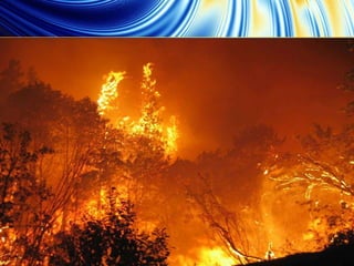 Bushfires in Australia