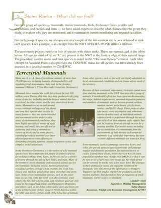 16
55 - Status Ranks - What did we find?
For each group of species — mammals, marine mammals, birds, freshwater fishes, reptiles and
amphibians, and orchids and ferns — we have asked experts to describe what characterizes the group they
study, to explain why they are monitored, and to summarize current monitoring and research activities.
For each group of species, we also present an example of the information and scores obtained to rank
each species. Each example is an excerpt from the NWT SPECIES MONITORING infobase.
The assessment process results in lists of species with status ranks. These are summarized in the tables
below. All species marked by an “L” are present in the NWT at the limit or edge of their natural range.
The procedure used to assess and rank species is noted in the “Decision Process” column. Each table
(except for Vascular Plants) also provides the COSEWIC status for all species that have already been
assessed in a detailed manner by COSEWIC.
Mam. ma. li. a - A class of vertebrate animals of more than
15,000 species, including humans, distinguished by self-
regulating body temperature, hair, and, in the females,
mammae (Webster’s II New Riverside University Dictionary).
Mammals have roamed the earth for at least the last 300
million years. During that time they have produced a dizzying
array of species, including both the largest animal that has
ever lived, the blue whale, and the tiny, short-lived Arctic
shrew. Mammals occur on and around
every continent and region of the planet
and owe their spectacular success to
many features - they are warm-blooded
and can remain active under a wide
array of environmental conditions, they
have highly specialized senses of sight,
hearing, and smell, they are efficient at
gathering and using a tremendous
variety of foods, and in some species,
extended periods of parental care have
allowed parents to train offspring in
demanding foraging patterns, annual migration cycles, and
complex social behaviours.
In the Northwest Territories, a wide variety of wild mammal
species have been important for people as sources of food;
for making clothing, tents, boats, and tools; and as a source
of income through the sale of furs, hides, and meat. Many of
the territory’s most abundant and treasured animal species
are mammals: including moose, barren-ground and
woodland caribou, beluga whale, marten, fox, wolf, lynx,
ringed seal, muskox, grizzly bear, otter, snowshoe and arctic
hare. Some of our mammalian species, such as the polar
bear, occur only in the far north well above treeline while
others like the Dall’s sheep, pika, and mountain goat are only
found in the rugged Mackenzie and Richardson Mountains,
and others, such as the fisher, white-tailed deer, and bison are
at the northern limit of their range in North America within
the NWT and rarely venture north of the 62nd line of latitude.
Some other species, such as the wolf, are highly adaptable to
local environmental conditions and are found across most of
the territory.
Because of their continued importance, biologists spend more
time studying mammals in the NWT than any other group of
animals. Considerable effort has been spent on documenting
the range, habitat requirements, seasonal migration patterns,
and numbers of mammals such as barren-ground caribou,
muskox, moose, polar bears, grizzly bears,
wolves, and Dall’s sheep. These projects often
take many years to complete and sometimes
involve detailed study of individual animals
within a herd or population through the use of
special collars that transmit radio signals that
can be received from an aircraft or even by a
passing satellite. The health status, including
the accumulation of contaminants from the
environment, of both marine and terrestrial
mammals is of particular importance because
so many different mammals are eaten for food.
Some mammals, such as lemmings, snowshoe hares, and
voles, are preyed upon by larger carnivores and undergo
regular and dramatic population fluctuations known as
cycles. During these cycles, which may last 4 to 10 years,
population numbers may change over 100-fold so that it can
be rare to see a hare track one winter, yet the whole forest
can be covered by tracks only a few years later. The changes
in these population cycles are regularly monitored by
biologists, who also provide the information to trappers.
Trappers can then predict whether the predators, such as
marten and lynx, that depend on these populations of small
mammals, will be scarce or abundant.
Alasdair Veitch
Supervisor, Wildlife Management
Sahtu Region
Resources, Wildlife and Economic Development, GNWT
Terrestrial Mammals
Caribou RWED Collection
 