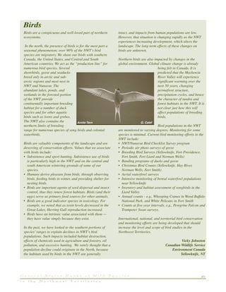 23G e n e r a l S t a t u s R a n k s o f W i l d S p e c i e s
i n t h e N o r t h w e s t T e r r i t o r i e s
Birds are a conspicuous and well-loved part of northern
ecosystems.
In the north, the presence of birds is for the most part a
seasonal phenomenon; over 90% of the NWT’s bird
species are migratory. We share our birds with southern
Canada, the United States, and Central and South
American countries. We act as the “production line” for
numerous bird species. Several
shorebirds, geese and seaducks
breed only in arctic and sub-
arctic regions and most nest in
NWT and Nunavut. The
abundant lakes, ponds, and
wetlands in the forested portion
of the NWT provide
continentally important breeding
habitat for a number of duck
species and for other aquatic
birds such as loons and grebes.
The NWT also contains the
northern limits of breeding
range for numerous species of song birds and colonial
waterbirds.
Birds are valuable components of the landscape and are
deserving of conservation efforts. Values that we associate
with birds include:
• Subsistence and sport hunting. Subsistence use of birds
is particularly high in the NWT and on the central and
south American wintering grounds of some of our
species.
• Humans derive pleasure from birds, through observing
birds, feeding birds in winter, and providing shelter for
nesting birds.
• Birds are important agents of seed dispersal and insect
control, thus they renew forest habitats. Birds (and their
eggs) serve as primary food sources for other animals.
• Birds are a good indicator species in toxicology. For
example, we noted that as toxin levels decreased in the
Great Lakes, Herring Gull reproduction increased.
• Birds have an intrinsic value associated with them —
they have value simply because they exist.
In the past, we have looked to the southern portions of
species’ ranges to explain declines in NWT’s bird
populations. Such impacts included habitat destruction,
effects of chemicals used in agriculture and forestry, oil
pollution, and excessive hunting. We rarely thought that a
population decline could originate in the North, because
the habitats used by birds in the NWT are generally
intact, and impacts from human populations are low.
However, that situation is changing rapidly as the NWT
experiences increasing development, which alters the
landscape. The long-term effects of these changes on
birds are unknown.
Northern birds are also impacted by changes in the
global environment. Global climate change is already
being felt in Canada. It is
predicted that the Mackenzie
River Valley will experience
significant warming over the
next 50 years, changing
permafrost structure,
precipitation cycles, and hence
the character of tundra and
forest habitats in the NWT. It is
not clear just how this will
affect populations of breeding
birds.
Bird populations in the NWT
are monitored to varying degrees. Monitoring for some
species is minimal. Current bird monitoring efforts in the
NWT include:
• NWT/Nunavut Bird Checklist Survey program
• Periodic air photo surveys of geese
• Breeding Bird Surveys (Yellowknife, Fort Providence,
Fort Smith, Fort Liard and Norman Wells)
• Banding programs of ducks and geese
• Christmas Bird Counts (Yellowknife, Hay River,
Norman Wells, Fort Smith)
• Aerial waterfowl surveys
• Intensive monitoring of boreal waterfowl populations
near Yellowknife
• Inventory and habitat assessment of songbirds in the
Liard Valley
• Annual counts - e.g., Whooping Cranes in Wood Buffalo
National Park, and White Pelicans in Fort Smith
• Counts at five-year intervals, e.g., Peregrine Falcon and
Trumpeter Swan surveys.
International, national, and territorial bird conservation
and monitoring efforts are being developed that should
increase the level and scope of bird studies in the
Northwest Territories.
Vicky Johnston
Canadian Wildlife Service
Environment Canada
Yellowknife, NT
Birds
Arctic Tern G. Calef
 