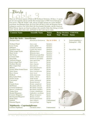 25G e n e r a l S t a t u s R a n k s o f W i l d S p e c i e s
i n t h e N o r t h w e s t T e r r i t o r i e s
Table 3
Birds
Duck-like birds - Anseriformes
Harlequin Duck Histrionicus histrionicus May be At Risk L b Eastern population =
Endangered - 1990
Northern Pintail Anas acuta Sensitive b
Lesser Scaup Aythya affinis Sensitive b
Oldsquaw Clangula hyemalis Sensitive b
Trumpeter Swan Cygnus buccinator Sensitive b Not at Risk - 1996
White-winged Scoter Melanitta fusca Sensitive b
Black Scoter Melanitta nigra Sensitive L b
Surf Scoter Melanitta perspicillata Sensitive b
Common Eider Somateria mollissima1
Sensitive b
King Eider Somateria spectabilis Sensitive b
American Wigeon Anas americana Secure b
Green-winged Teal Anas crecca Secure b
Northern Shoveler Anas clypeata Secure b
Blue-winged Teal Anas discors Secure b
Mallard Anas platyrhynchos Secure b
Greater White-fronted Goose Anser albifrons4
Secure b
Snow Goose Anser caerulescens Secure b
Ross’s Goose Anser rossii Secure L b
Redhead Aytha americana Secure L b
Ring-necked Duck Aythya collaris Secure b
Greater Scaup Aytha marila Secure b
Canvasback Aythya valisineria Secure b
Brant Branta bernicla2
Secure b
Canada Goose Branta canadensis3
Secure b
Bufflehead Bucephala albeola Secure b
Common Goldeneye Bucephala clangula Secure b
Barrow’s Goldeneye Bucephala islandica Secure L b
Tundra Swan Cygnus columbianus Secure b
Hooded Merganser Lophodytes cucullatus Secure L b
Common Merganser Mergus merganser Secure b
Red-breasted Merganser Mergus serrator Secure b
Ruddy Duck Oxyura jamaicensis Secure L b
Gadwall Anas strepera Undetermined L c
Eurasian Wigeon Anas penelope Vagrant X b
Nighthawks - Caprimulgiformes
Common Nighthawk Chordeiles minor Undetermined L b
Common Name Scientific Name Status Range Decision COSEWIC
Rank Note Process Status
There are 247 known species of birds in the Northwest Territories. Of these, 11 species
are not seen regularly and are outside their normal range in NWT. Seven bird species
were given a “May Be At Risk” rank, and are of higher priority for a more detailed
assessment: the Harlequin Duck, the Ivory Gull, the Ross’s Gull, the Peregrine Falcon
(subspecies tundrius), the Yellow Rail, the Gray-headed Chickadee, and the American
White Pelican. Species are listed according to the scientific Order they belong to (Latin
name), then by their status rank, and finally by their Latin species name.
 