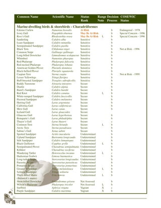 26
Marine-dwelling birds & shorebirds - Charadriiformes
Eskimo Curlew Numenius borealis At Risk b Endangered - 1978
Ivory Gull Pagophila eburnea May Be At Risk b Special Concern - 1996
Ross’s Gull Rhodostethia rosea May Be At Risk L b Special Concern - 1996
Sanderling Calidris alba Sensitive b
Least Sandpiper Calidris minutilla Sensitive b
Semipalmated Sandpiper Calidris pusilla Sensitive b
Black Tern Chlidonias niger Sensitive b Not at Risk - 1996
Common Snipe Gallinago gallinago Sensitive b
Long-billed Dowitcher Limnodromus scolopaceus Sensitive b
Whimbrel Numenius phaeopus Sensitive b
Red Phalarope Phalaropus fulicaria Sensitive b
Red-necked Phalarope Phalaropus lobatus Sensitive b
American Golden Plover Pluvialis dominica Sensitive b
Black-bellied Plover Pluvialis squatarola Sensitive b
Caspian Tern Sterna caspia Sensitive b Not at Risk - 1999
Lesser Yellowlegs Tringa flavipes Sensitive b
Buff-breasted Sandpiper Tryngites subruficollis Sensitive b
Ruddy Turnstone Arenaria interpres Secure b
Dunlin Calidris alpina Secure b
Baird’s Sandpiper Calidris bairdii Secure b
Red Knot Calidris canutus Secure L b
White-rumped Sandpiper Calidris fuscicollis Secure b
Pectoral Sandpiper Calidris melanotos Secure b
Herring Gull Larus argentatus Secure b
California Gull Larus californicus Secure b
Mew Gull Larus canus Secure b
Iceland Gull Larus glaucoides Secure
Glaucous Gull Larus hyperboreus Secure b
Bonaparte’s Gull Larus philadelphia Secure b
Thayer’s Gull Larus thayeri Secure c
Common Tern Sterna hirundo Secure L b
Arctic Tern Sterna paradisaea Secure b
Sabine’s Gull Xema sabini Secure b
Spotted Sandpiper Actitis macularia Undetermined b
Upland Sandpiper Bartramia longicauda Undetermined b
Stilt Sandpiper Calidris himantopus Undetermined b
Black Guillemot Cepphus grylle Undetermined L b
Semipalmated Plover Charadrius semipalmatus Undetermined b
Killdeer Charadrius vociferus Undetermined b
Wandering Tattler Heteroscelus incanus Undetermined L c
Hudsonian Godwit Limosa haemastica Undetermined b
Long-tailed Jaeger Stercorarius longicaudus Undetermined b
Parasitic Jaeger Stercorarius parasiticus Undetermined b
Pomarine Jaeger Stercorarius pomarinus Undetermined b
Greater Yellowlegs Tringa melanoleuca Undetermined L b
Solitary Sandpiper Tringa solitaria Undetermined b
Thick-billed Murre Uria lomvia Undetermined L b
(Brénnich’s murre)
Short-billed Dowitcher Limnodromus griseus Not Assessed b
Wilson’s Phalarope Phalaropus tricolor Not Assessed L b
Surfbird Aphriza virgata Vagrant X c
Purple Sandpiper Calidris maritima Vagrant X b
Common Name Scientific Name Status Range Decision COSEWIC
Rank Note Process Status
 