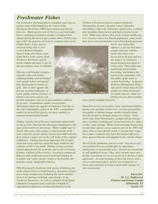 31G e n e r a l S t a t u s R a n k s o f W i l d S p e c i e s
i n t h e N o r t h w e s t T e r r i t o r i e s
The freshwater and anadromous (spending some time in
marine waters) fish inhabiting the waters of the
Northwest Territories (NWT) have unique and diverse
histories. Many species now in this area survived under
harsh conditions in northern portions of unglaciated
Alaska during the last ice age (ending about 10,000 years
ago) while the majority survived in southern areas of the
United States. A few species
survived along what is now
coastal British Columbia.
Species from all of these areas
today thrive in the waters of the
Northwest Territories and its
Arctic islands and make it one of
the most unique areas in Canada.
Fish are cold-blooded creatures,
typically with scaly bodies
(although burbot and stickleback
lack typical scales) and paired
fins, that breathe by means of
gills. Due to their aquatic life,
fish are excellent indicators of
water quality and the presence or
absence of certain species can
provide immediate clues as to the conditions within a
given area. Contaminant studies reveal further
information about the aquatic environment and, due to
the wide consumption of fish in the NWT, contaminant
studies on several fish species are done routinely to
measure environmental health.
Fishing remains one of the most important cultural and
social activities that link the aboriginal inhabitants to the
land of the Northwest Territories. While wildlife may be
absent from some areas during certain portions of the
year, some fish species always remain accessible and thus
have played a major role in the well being of the original
inhabitants. Fishing played an important role in early
trade and early explorers noted the large numbers and
varieties of fish in the north. Fishing related activities
remain important to the economic and social well being
of many residents of the territory. Localised commercial
fisheries and world-renowned recreational angling by
residents and visitors further reinforce the benefits and
need for strong, sustainable fisheries.
With 48 primarily freshwater fish species inhabiting one
of the largest rivers in North America, thousands of lakes
and a large coastal area (including the Arctic islands),
there is no shortage of fishing opportunities in the
Northwest Territories. As well as whitefish (both broad
whitefish (Coregonus nasus) and lake whitefish (C.
clupeaformis)) fisheries, commercial fisheries in the
Northwest Territories harvest walleye (pickerel)
(Stizostedion vitreum), inconnu (coney) (Stenodus
leucichthys), lake trout (Salvelinus namaycush), northern
pike (jackfish) (Esox lucius) and burbot (loche) (Lota
lota). While most of these fish stocks remain healthy due
to a vast area with a low human population, some stocks
have been overexploited due to localised fishing pressure.
Arctic char (Salvelinus
alpinus), a species that many
people associate with the
north, have been over-
harvested in the past and are
the subject of community
based management plans in
some areas. These plans use
traditional and scientific
knowledge and balance the
needs of the community with
the ability of the stock to
sustain harvesting. Integrated
Fisheries Management Plans
that involve input from all user
groups are being developed
for stocks that are subject to
fishing pressure from multiple
users and at multiple locations.
Some fish species, particularly those with limited habitat
during some portion of their lives, are also particularly
susceptible to habitat change whether brought about
directly by man or through changes to climate. Some
stocks have been threatened by gradual habitat changes
due to gradual warming and several more may be subject
to these same changes. While increased temperatures may
benefit those species in the southern part of the NWT and
allow them to move further north or expand their range,
these same conditions may have detrimental effects on
those species that are well adapted to the current climate.
Not all of the freshwater species on the “may be at risk”
and sensitive lists are sought after by subsistence,
commercial or recreational users. Several are not present
in well-populated areas. Thus, their current status may
be due to problems we are not aware of or do not yet fully
appreciate. An understanding of their life history and a
close monitoring of these species are essential for a
better and continued awareness of possible changes to
our environment.
Karen Ditz1
Dr. S.A. Stephenson2
Fisheries and Oceans Canada
1
Yellowknife, NT
2
Inuvik, NT
Freshwater Fishes
Lake Trout - Great Slave Lake B. Ashley
 