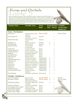 40
Table 5
Ferns and Orchids
Ferns - Pteridophyta
Parsley Fern Cryptogramma (crispa) May be at Risk c Rare in Canada
sitchensis
Green Spleenwort Asplenium Sensitive c
trichomanes- ramosum
Fragile Rock-brake Cryptogramma Sensitive c
stelleri
Shield Fern sp. Dryopteris expansa Sensitive L c
Cliff Brake spp. Pellae glabella Sensitive L c
Mountain Parsley Cryptogramma Secure c
acrostichoides
Fragile Fern Cystopteris fragilis Secure c
Fragrant Shield Fern Dryopteris fragrans Secure c
Nahanni Oak Fern Gymnocarpium jessoense Secure c
Polypody Polypodium sibiricum Secure c
Smooth Woodsia Woodsia glabella Secure c
Rusty Woodsia Woodsia ilvensis Secure c
Lady-fern Athyrium filix-femina Undetermined L c
Mountain Bladder Fern Cystopteris montana Undetermined L c
Shield Fern sp. Dryopteris carthusiana Undetermined L c
Oak Fern Gymnocarpium dryopteris Undetermined L c
Ostrich Fern Matteuccia struthiopteris Undetermined L c
Beech Fern Phegopteris connectius Undetermined L c
Holly Fern Polystichum lonchitis Undetermined L c
Northern Woodsia Woodsia alpina Undetermined c
Rock Mountain Woodsia Woodsia scopulina Undetermined L c
(oregana)
Rock Polypody Polypodium virginianum Not Assessed L c
Orchids - Orchidaceae
Loesel’s Twayblade Liparis loeselii May Be At Risk L c Disjunct
Bog Adder’s Mouth Malaxis paludosa May Be At Risk L c Rare in Canada;
(Hammarbya paludosa) Disjunct
Round-leaved Orchid Platanthera (Habenaria) Sensitive L c
orbiculata
Round-leaved Orchis Amerorchis rotundifolia Secure c
Fairy-slipper (Venus’-slipper) Calypso bulbosa Secure c
Early (Pale) Coral Root Corallorhiza trifida Secure c
Yellow Lady’s Slipper Cypridedium parviflorum Secure c
Spotted Lady’s Slipper Cypridedium guttatum Secure c
Common Name Scientific Name Status Range Decision Canadian
Rank Note Process Conservation
Significance1
There are twenty-two species of ferns and nineteen species of orchids in the NWT. Of these, one
species of fern, the Parsley Fern (Cryptogramma sitchensis), and two species of orchids, Loesel’s
Twayblade (Liparis loeselii) and Bog Adder’s Mouth (Malaxis paludosa) may be at risk. These
species are on the priority list for a more detailed assessment of their biological status. Species are
listed according to the scientific Order they belong to (Latin name), then by their status rank, and
finally by their Latin species name.
 