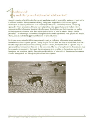 11 Background -
Why rank the general status of all wild species?
An understanding of wildlife distribution and population trends is required by northerners involved in
traditional activities. Throughout their history, indigenous people have collected and applied
information on an ecosystem basis to be able to use wildlife in a sustainable manner, conserving
species for future generations. General knowledge about wild species being actively harvested is
supplemented by information about their food sources, their habitat, and the forces that can lead to
their disappearance from an area. Ranking the general status of all wild species follows similar
principles. The knowledge accumulated over generations can be reported for each species and may be
shared, in a respectful and appropriate fashion, by all northerners.
In the past, conventional wildlife management focused on collecting information about population
numbers and trends for game species. During the past few decades, we have recognized the need for a
broader range of information to successfully conserve species. We need to look at a greater array of
species and take into account their role in the ecosystem. The loss of a single species from an area may
have negative consequences that ripple through an ecosystem, resulting in threats to the survival of
both game and non-game species. Increasing our knowledge of all species is thus essential to modern
wildlife management and ecologically sustainable development.
Caribou in Winter G.Calef
5G e n e r a l S t a t u s R a n k s o f W i l d S p e c i e s
i n t h e N o r t h w e s t T e r r i t o r i e s
 