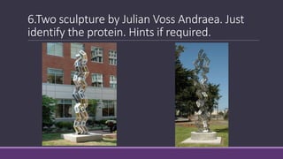 6.Two sculpture by Julian Voss Andraea. Just
identify the protein. Hints if required.
 