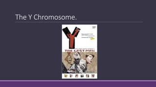 The Y Chromosome.
 