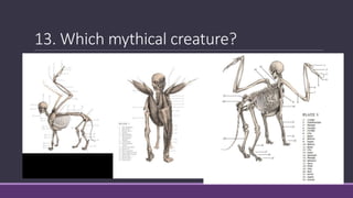 13. Which mythical creature?
 