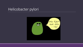 Helicobacter pylori
 