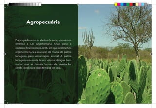 38
Agropecuária
Preocupados com os efeitos da seca, aprovamos
emenda à Lei Orçamentária Anual para o
exercício financeiro de 2016, em que destinamos
orçamento para a aquisição de mudas de palma
forrageira para alimentação animal. A palma
forrageira necessita de um volume de água bem
menor que as demais formas de vegetação,
sendo ideal para esses tempos de seca.
Dep.Carlos.Matos.indd 38 16/06/2017 16:33:58
 