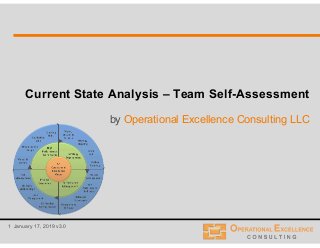 1 January 17, 2019 v3.0
Current State Analysis – Team Self-Assessment
by Operational Excellence Consulting LLC
 