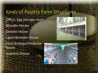 Comprehensive Guide to Poultry Production in the Philippines: Broilers ...